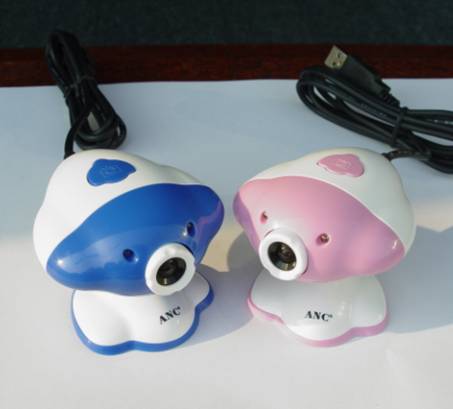 ANC奥尼907小海豚...